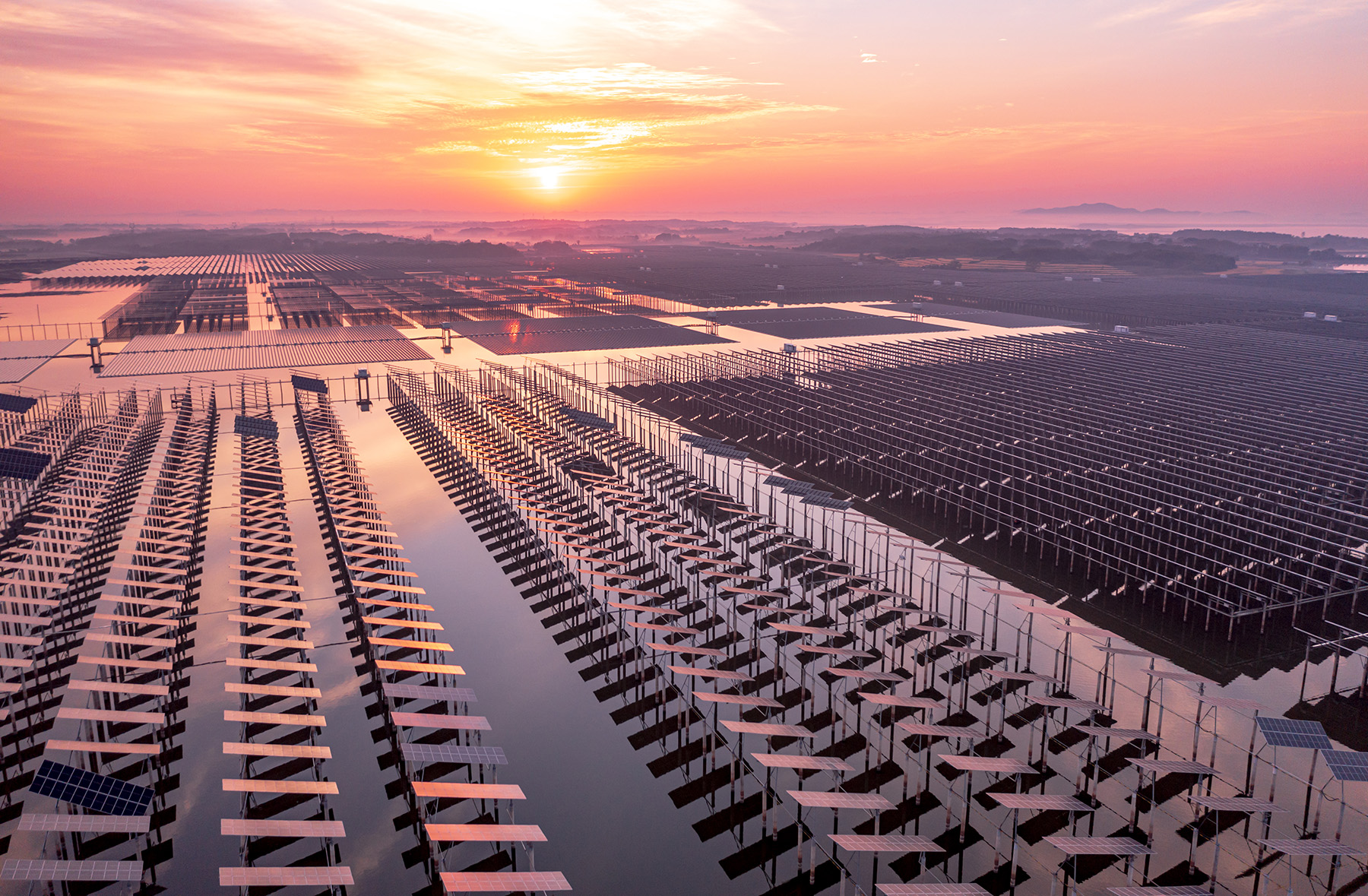A flat, expansive field has rows of black solar panels. The sun shines in the background. 