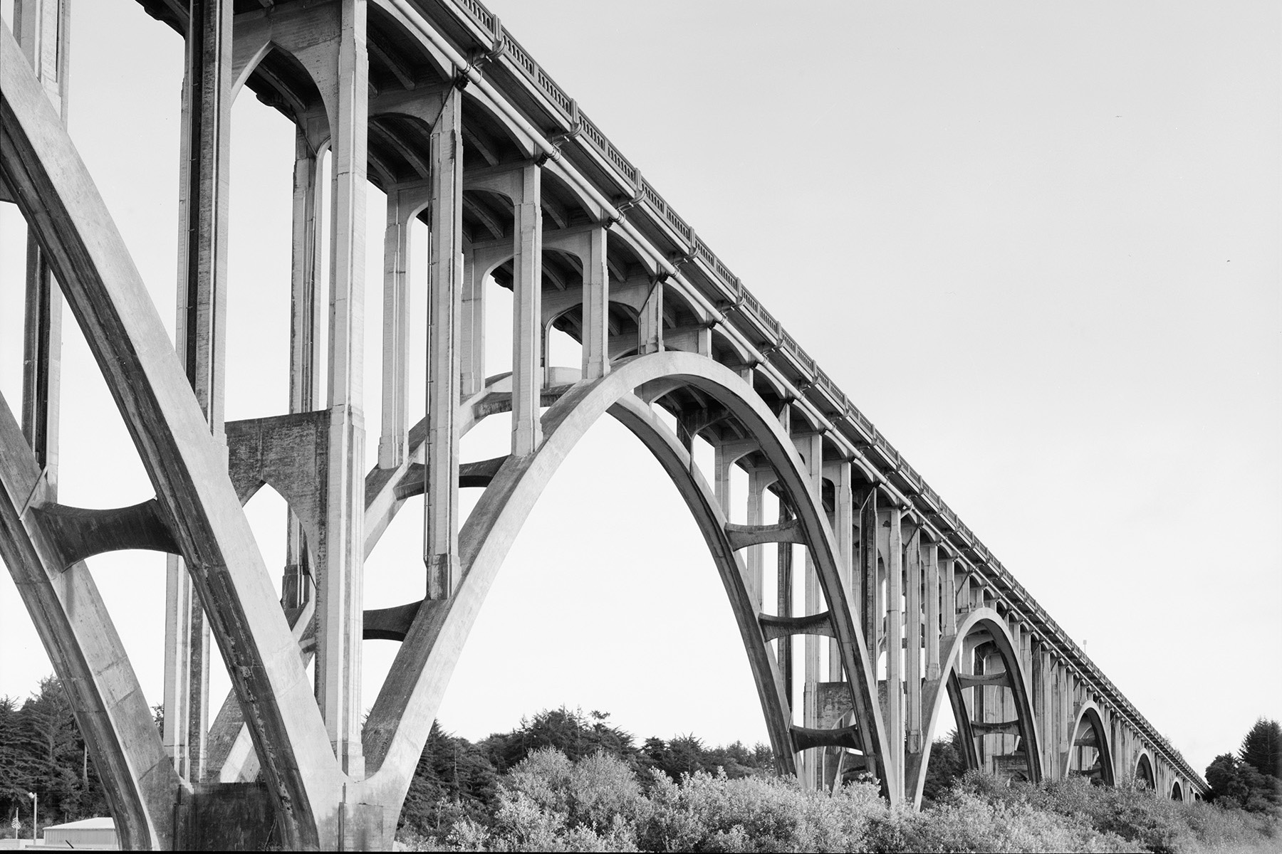 Arched bridge set amid the foliage. 